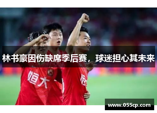 林书豪因伤缺席季后赛，球迷担心其未来