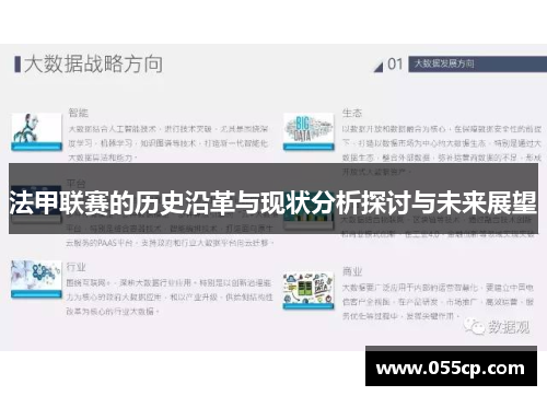 法甲联赛的历史沿革与现状分析探讨与未来展望