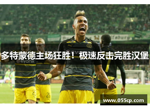 多特蒙德主场狂胜！极速反击完胜汉堡